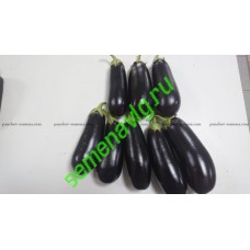 Черныш F1  (Упаковка 100 гр.) Панчев Ю.И., (Молдова)