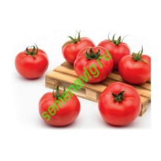 Хаят F1, 500 семян, Sakata (Япония) Хаят F1, 500 семян, Sakata (Япония)