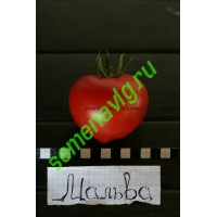 Мальва F1, 5 гр (1800-1900 семян), Панчев Ю.И.,(Молдова)