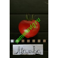 Мальва F1, 5 гр (1500 семян), Панчев Ю.И.,(Молдова)