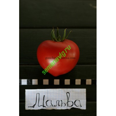 Мальва F1, 5 гр (1500 семян), Панчев Ю.И.,(Молдова)