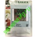 Мидуэй F1, 250 гр. семян, Sakata (Япония)
