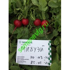 Мидуэй F1, 250 гр. семян, Sakata (Япония)