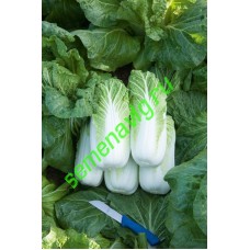 Билко F1, 2500 семян, Bejo (Нидерланды)