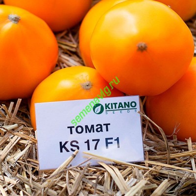 Нукси F1 (KS 17 F1),1000 семян, KITANO SEEDS (Япония)
