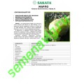 Марло F1, 100 семян, Sakata (Япония) Марло F1, 100 семян, Sakata (Япония)