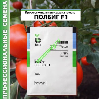 Полбиг F1, 1000 семян, Бейо (Bejo)
