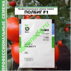 Полбиг F1, 1000 семян, Бейо (Bejo)