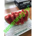 Тюрк F1, 100 семян, Sakata (Япония)