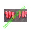 Каптур F1, 50шт Seminis (Голландия) Каптур F1, 50шт Seminis (Голландия)