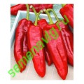 Каптур F1, 50шт Seminis (Голландия) Каптур F1, 50шт Seminis (Голландия)