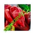 Каптур F1, 50шт Seminis (Голландия) Каптур F1, 50шт Seminis (Голландия)
