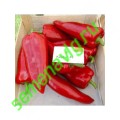 Каптур F1, 50шт Seminis (Голландия) Каптур F1, 50шт Seminis (Голландия)