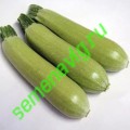 Искандер F1, 50 семян Seminis (Голландия) Искандер F1, 50 семян Seminis (Голландия)