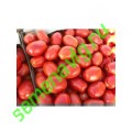 Хайнц 3402 (HEINZ 3402) F1, 100 семян, HEINZ SEED (США) Хайнц 3402 (HEINZ 3402) F1, 100 семян, HEINZ SEED (США)