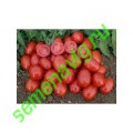 Хайнц 3402 (HEINZ 3402) F1, 100 семян, HEINZ SEED (США) Хайнц 3402 (HEINZ 3402) F1, 100 семян, HEINZ SEED (США)