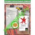 Шакира F1, 50 семян, ENZA ZADEN (Голландия)