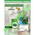 Меренга F1, 50 семян Seminis (Голландия)
