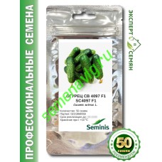 СВ 4097/SV4097 F1, 50 семян Seminis (Голландия) СВ 4097/SV4097 F1, 50 семян Seminis (Голландия)