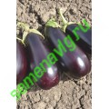 Эпик F1, 50 семян, Seminis (Голландия) Эпик F1, 50 семян, Seminis (Голландия)