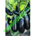 Эпик F1, 50 семян, Seminis (Голландия) Эпик F1, 50 семян, Seminis (Голландия)