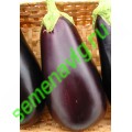 Эпик F1, 50 семян, Seminis (Голландия) Эпик F1, 50 семян, Seminis (Голландия)