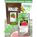 Продюсер F1, Пакет 500 семян, Hollar Seeds (США)