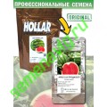 Продюсер, Пакет 500 семян, Hollar Seeds (США) Продюсер, Пакет 500 семян, Hollar Seeds (США)