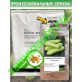 Марселла F1, 50 семян, ENZA ZADEN (ЭНЗА ЗАДЕН)