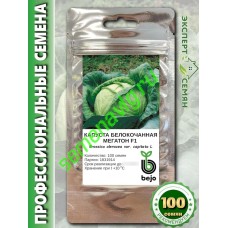 Мегатон F1, 100 семян, Bejo (Нидерланды) Мегатон F1, 100 семян, Bejo (Нидерланды)