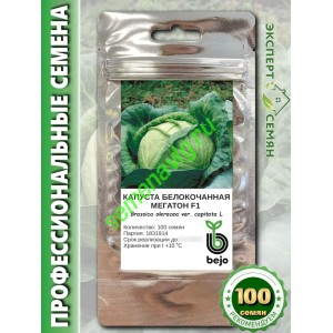 Мегатон F1, 100 семян, Bejo (Нидерланды) Мегатон F1, 100 семян, Bejo (Нидерланды)
