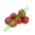 Таня F1, 100 семян,  Seminis (Голландия)