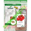 Яки F1, 100 семян Seminis (Голландия)