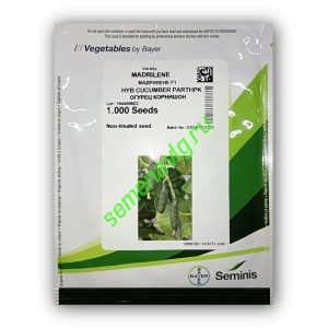 Мадрилене F1, 1000 семян ,Seminis (Голландия)