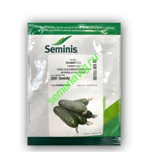 СВ 4097/SV4097 F1, 250 семян, Seminis (Голландия)