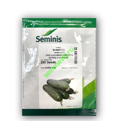 СВ 4097/SV4097 F1, 250 семян, Seminis (Голландия)