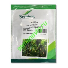 Мадейра F1, 250 семян Seminis (Голландия)