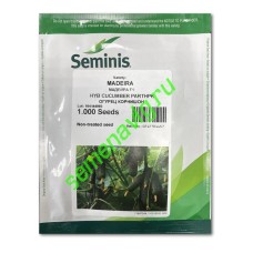 Мадейра F1, 1000 семян Seminis (Голландия)