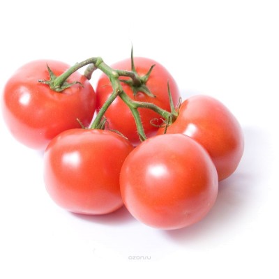Профессиональные семена томата