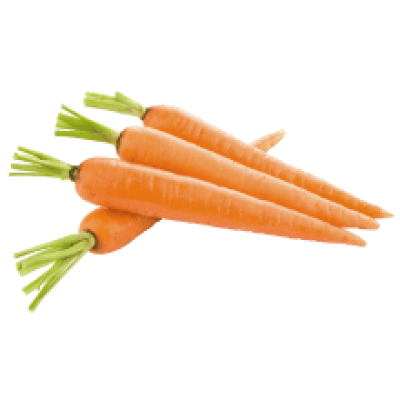 Профессиональные Семена Моркови